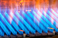Hallyne gas fired boilers